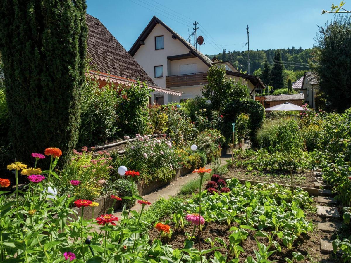 Cheerful Apartment Near City Centre Of Haslach Haslach im Kinzigtal Exteriör bild