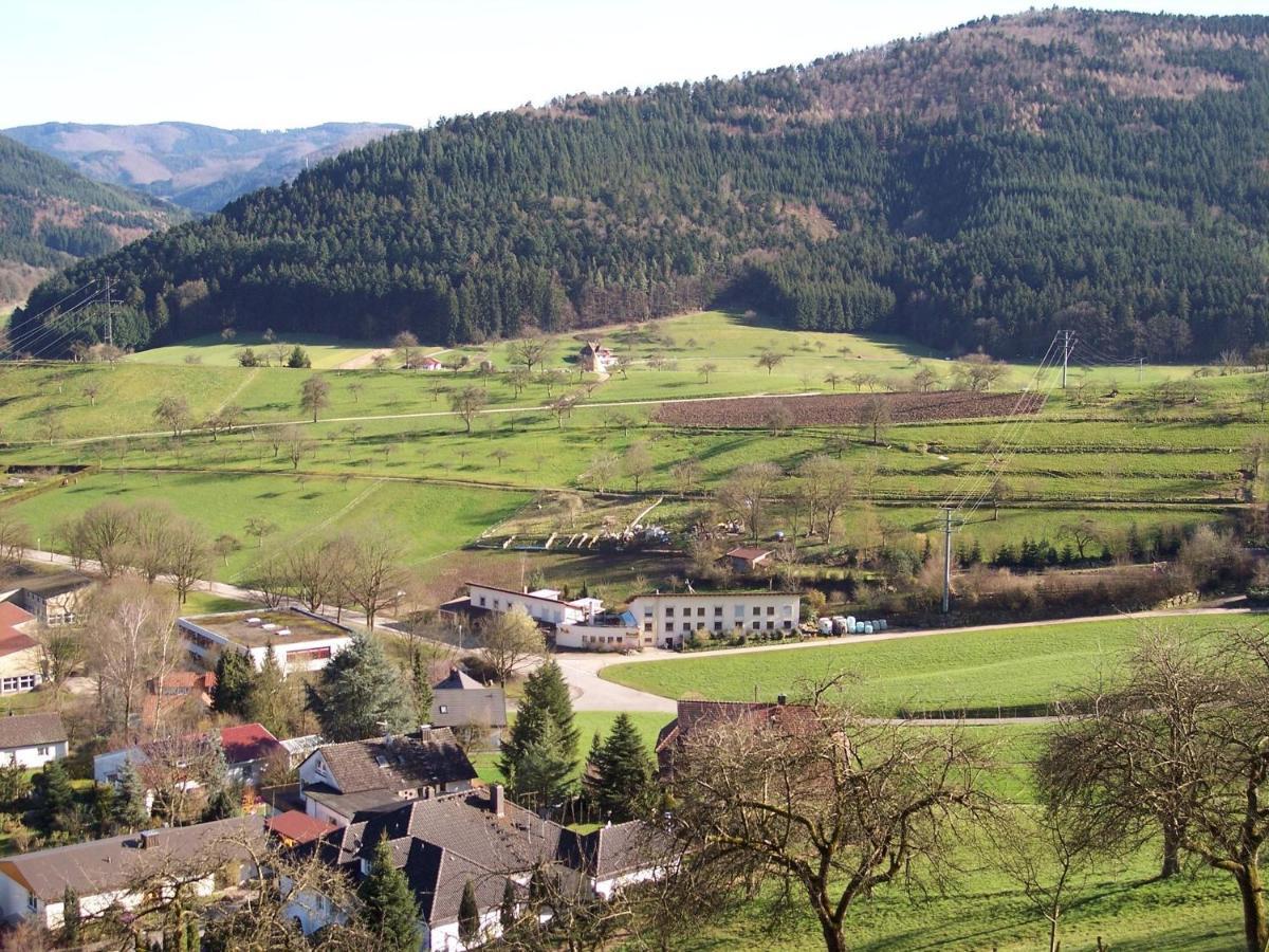 Cheerful Apartment Near City Centre Of Haslach Haslach im Kinzigtal Exteriör bild